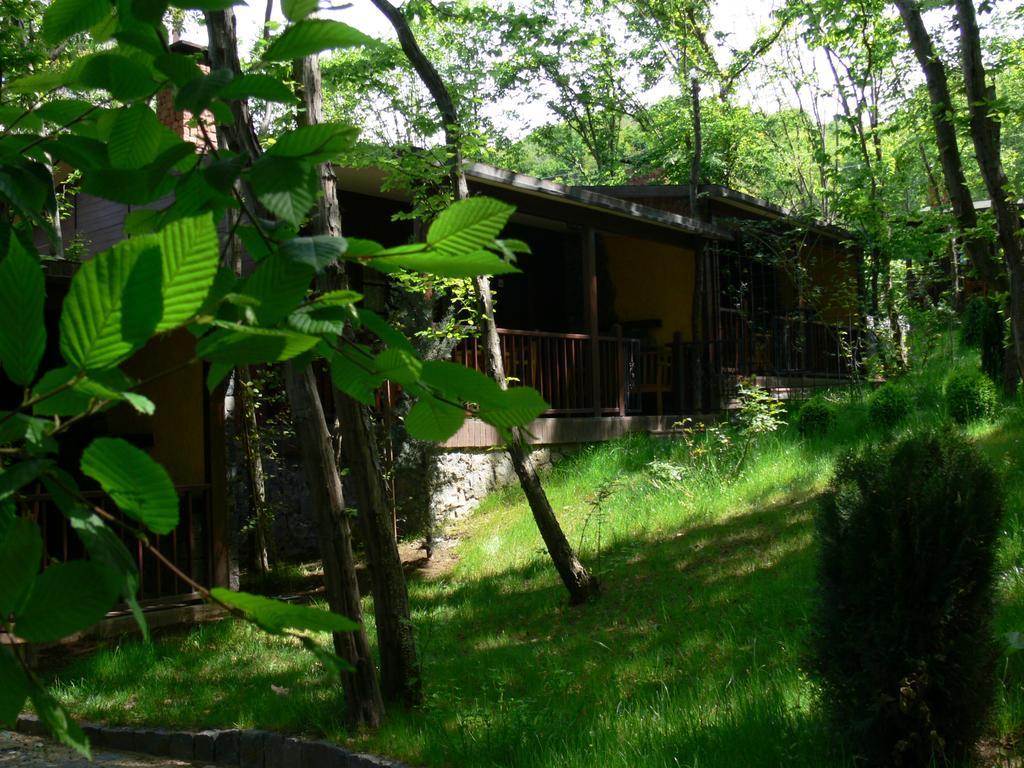 Dolunay Fanizan Hotel Fatsa Quarto foto